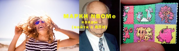 сатива Краснослободск