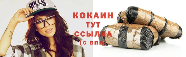 сатива Краснослободск