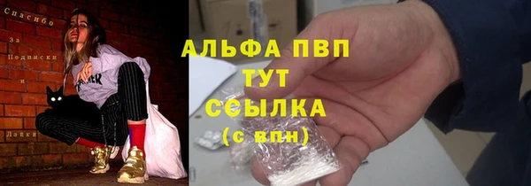 сатива Краснослободск