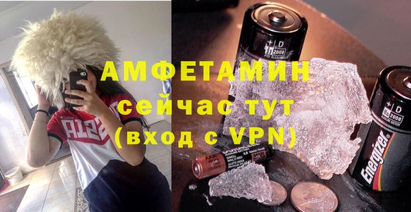сатива Краснослободск