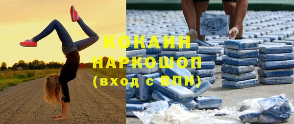 сатива Краснослободск