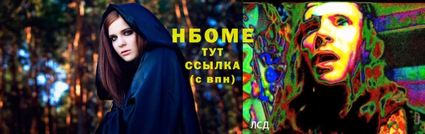 сатива Краснослободск