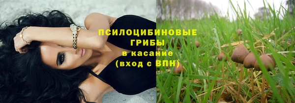сатива Краснослободск