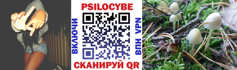Купить закладки  Белая Холуница  Галлюциногенные грибы прущие грибы 